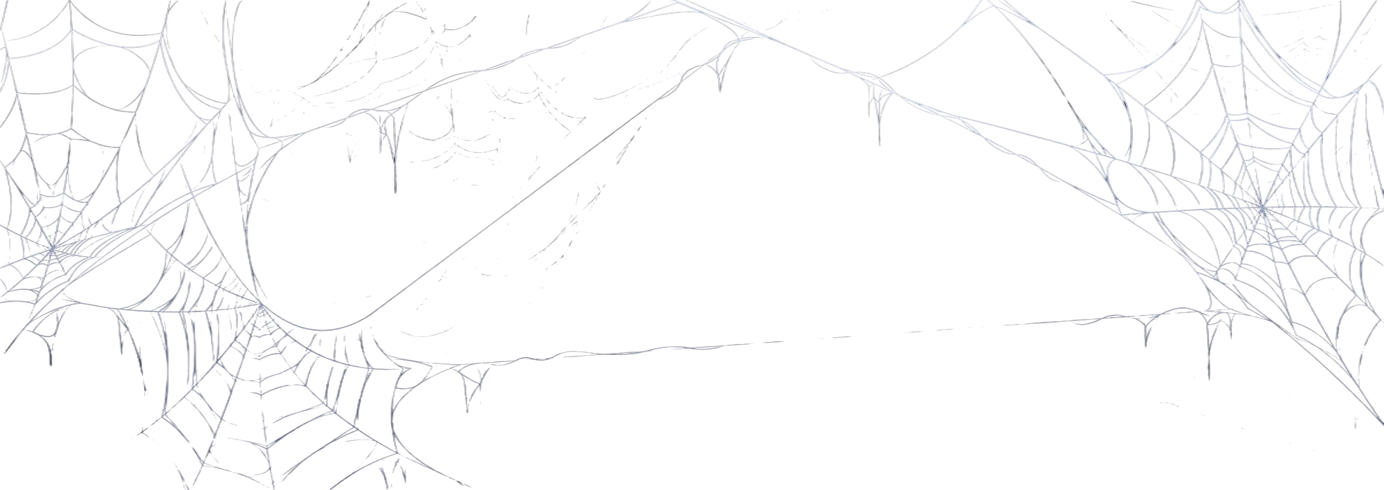 Spider Web