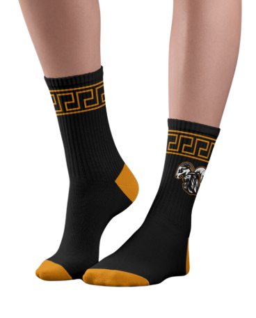 chimera socks front