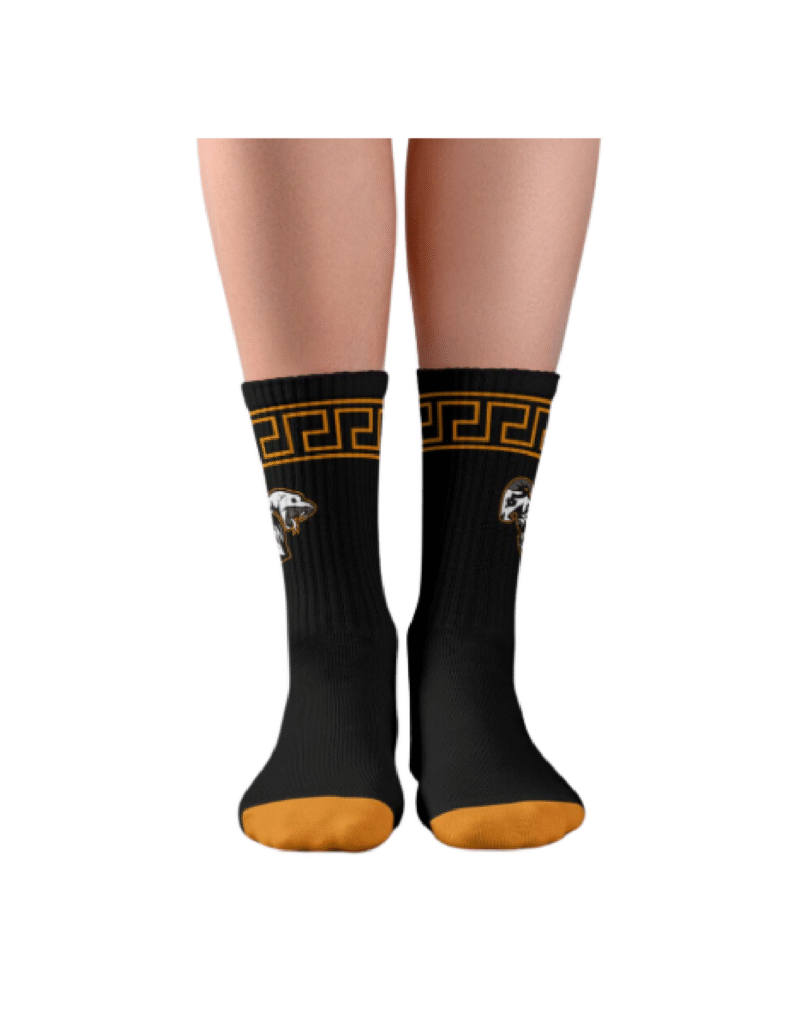 CHIMERA SOCKS